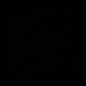 Meet your Posher, Carlye